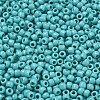 TOHO 6/0 Round Beads X-SEED-TR06-0055-3