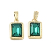 Brass Glass Charms KK-L256-20G-1