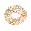 Electroplate Glass Beads Strands GLAA-T023-B16-03-2