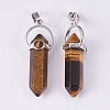 Natural Tiger Eye Double Terminated Pointed Pendants G-P373-B03-2