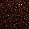 TOHO 6/0 Round Beads SEED-XTR06-0941-4