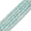 Natural Freshwater Shell Dyed Beads Strands SHEL-R100-13A-02-1