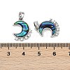 Natural Paua Shell Moon Pendants KK-U043-23P-01-3