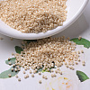 MIYUKI Delica Beads SEED-JP0008-DB0205-1