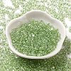 Baking Glass Seed Beads SEED-K009-07A-06-2