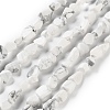 Natural Howlite Beads Strands G-P497-01C-64-1