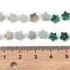 4 Styles Synthetic Malachite & Natural Dragon Blood Jasper & Flower Amazonite & Red Aventurine Beads Strands G-D095-A08-6