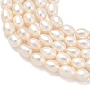 Natural Cultured Freshwater Pearl Beads Strands PEAR-D003-01D-15-4