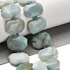Natural Flower Amazonite Beads Strands G-H078-B09-01-2