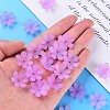 Transparent Acrylic Beads X1-MACR-S373-107-D03-6