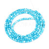 Dyed Natural Trochid Shell/Trochus Shell Beads Strands SSHEL-T017-13B-2
