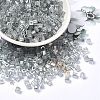Glass Seed Beads SEED-H002-F-1135-1