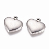 Non-Tarnish 304 Stainless Steel Pendants STAS-G218-03P-2