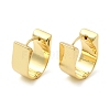 Rack Plating Brass Hoop Earrings EJEW-Q773-07G-1