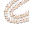 Grade AAA Natural Cultured Freshwater Pearl Beads Strands PEAR-N013-03C-4