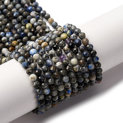 Natural Lapis Lazuli Beads Strands G-L629-B01-3mm-03-1