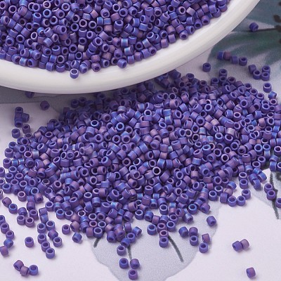 MIYUKI Delica Beads X-SEED-J020-DB0880-1