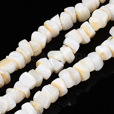 Natural Freshwater Shell Beads Strands X-SHEL-S278-042-1