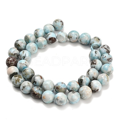Natural Larimar Beads Strands G-L642-B19-10mm-1