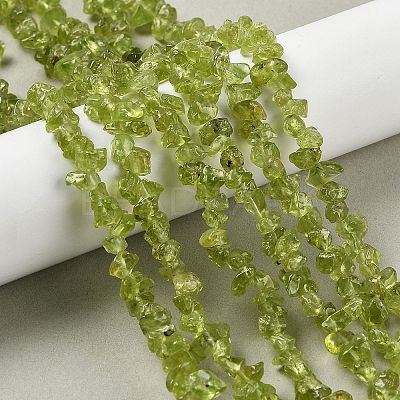Natural Peridot Beads Strands G-P332-48-01-1
