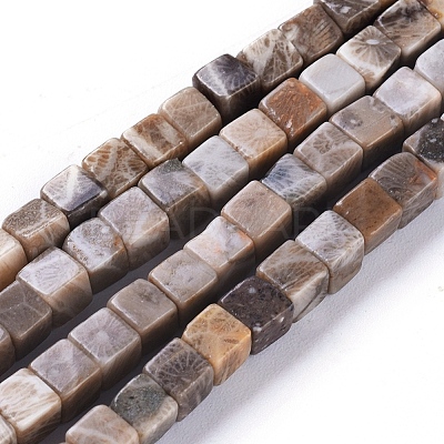 Natural Fossil Coral Beads Strands G-D0020-13B-1