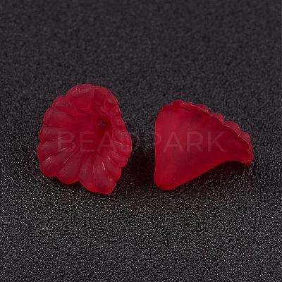 Transparent Acrylic Beads PL622-C14-1