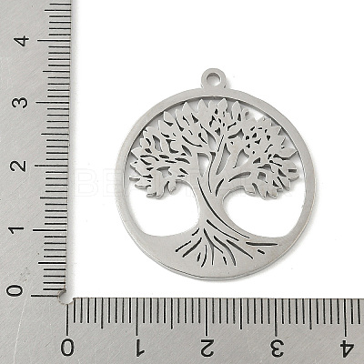 304 Stainless Steel Pendants STAS-V016-11P-1