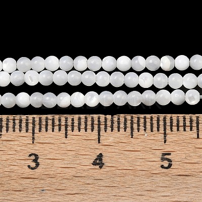 Natural White Shell Beads Strands G-A177-04-25-1