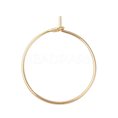 316L Surgical Stainless Steel Hoop Earring Findings STAS-G229-07G-06A-1