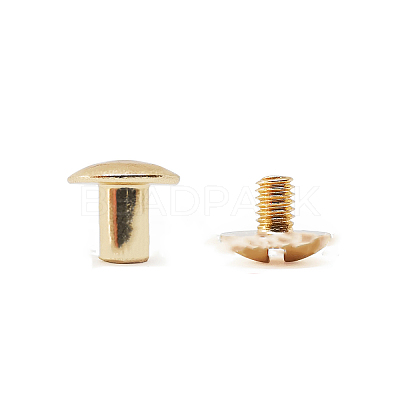 Brass Rivet OFST-PW0003-21A-G-1
