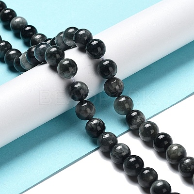 Natura Hawk's Eye Beads Strands G-D0001-22B-8mm-01-1