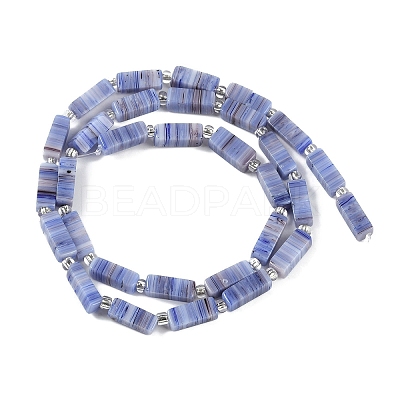 Handmade Lampwork Beads Strands LAMP-Q037-01B-07-1