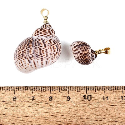 Brass & Natural Spiral Shell Pendants SHEL-Q029-27KCG-1