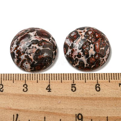 Natural Leopard Skin Jasper Cabochons G-C115-02A-44-1