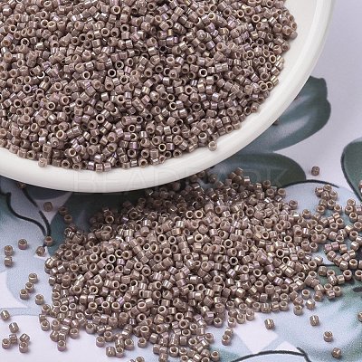 MIYUKI Delica Beads X-SEED-J020-DB2271-1