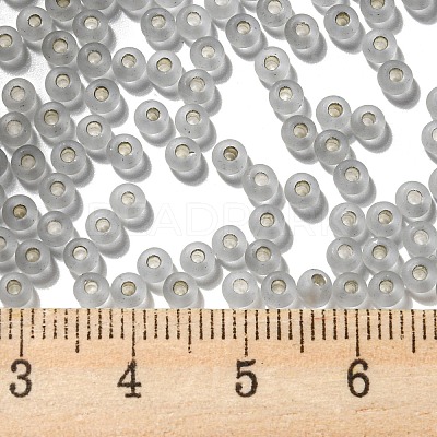 8/0 Glass Seed Beads SEED-Z001-C-E13-1