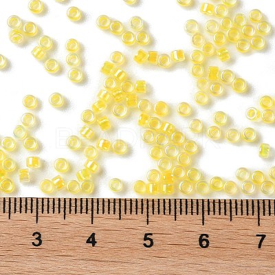 Glass Seed Beads X-SEED-S042-13A-03-1