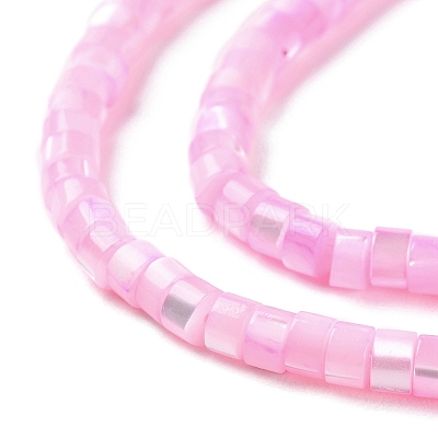 Natural Trochus Shell Dyed Beads Strands BSHE-E030-10C-1