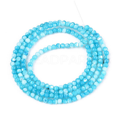 Dyed Natural Trochid Shell/Trochus Shell Beads Strands SSHEL-T017-13B-1