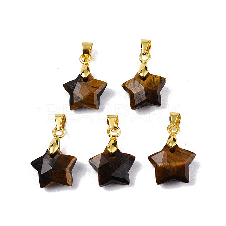 Natural Tiger Eye Charms X-G-N326-142-01-1