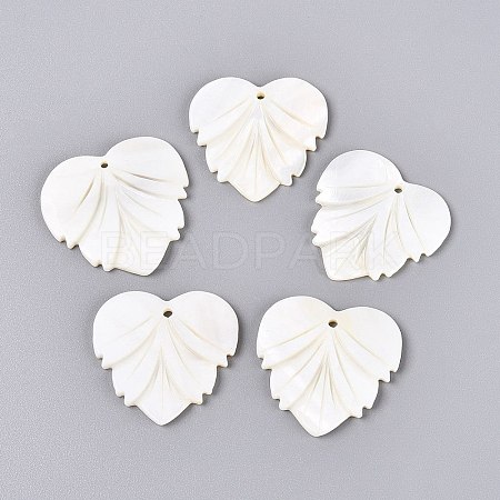 Natural Freshwater Shell Carved Pendants SHEL-Q028-12-1
