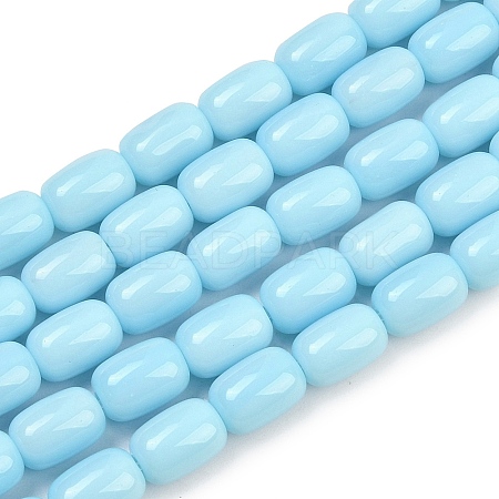 Opaque Glass Beads Strands GLAA-Z015-02E-1