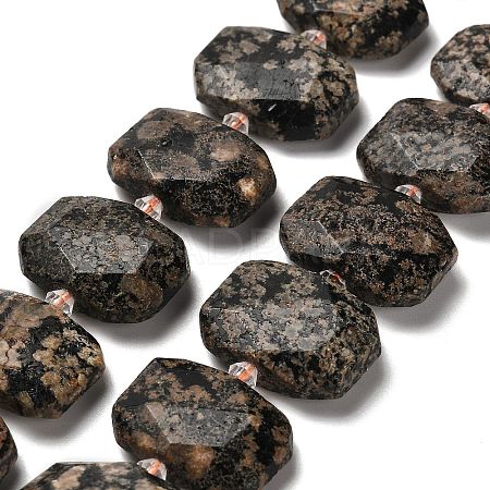 Natural Snowflake Obsidian Beads Strands G-H078-B22-01-1
