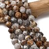 Natural Gobi Agate Beads Strands G-Z119-A36-03-1