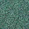TOHO 11/0 Round Beads X-SEED-TR11-0264-2
