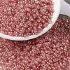 MIYUKI Round Rocailles Beads X-SEED-G008-RR3507-1