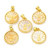 Natural Yellow Shell Carved Moth Pendants KK-D537-04G-01-1