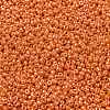 MIYUKI Round Rocailles Beads X-SEED-G008-RR0423-3