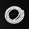 Natural White Shell Bead Strands SSHEL-N003-144C-01-2