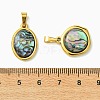 Natural Paua Shell & Acrylic  Pendants PALLOY-JF05942-01-3